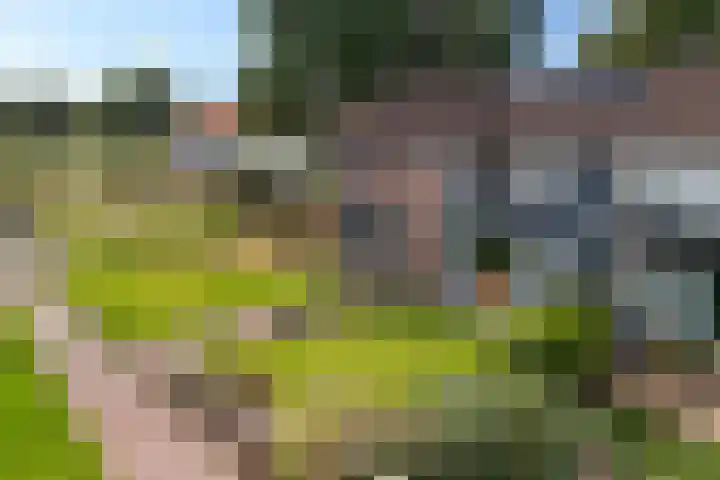Gareel 19 Barger-Compascuum thumbnail 42