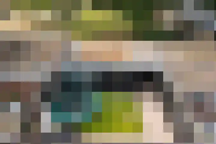 Gareel 19 Barger-Compascuum thumbnail 43