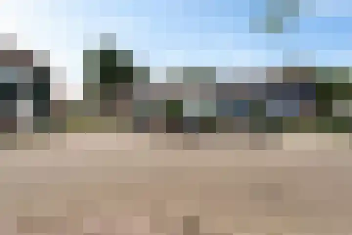 Gareel 19 Barger-Compascuum thumbnail 44