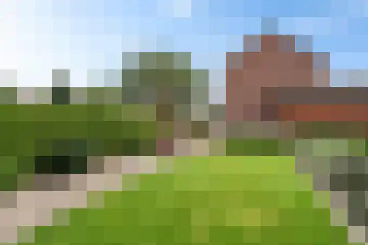 Gareel 19 Barger-Compascuum thumbnail 45