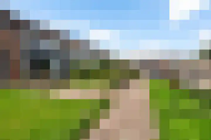 Gareel 19 Barger-Compascuum thumbnail 5