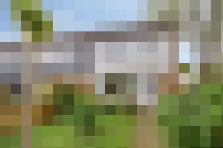 Gareel 2 Barger-Compascuum