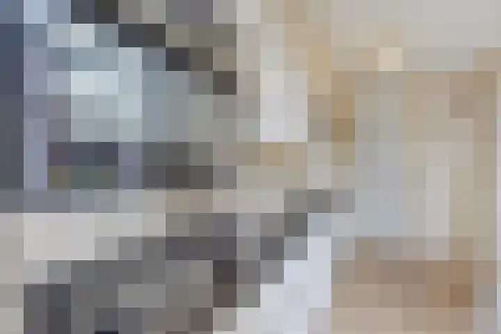 Gareel 2 Barger-Compascuum thumbnail 13