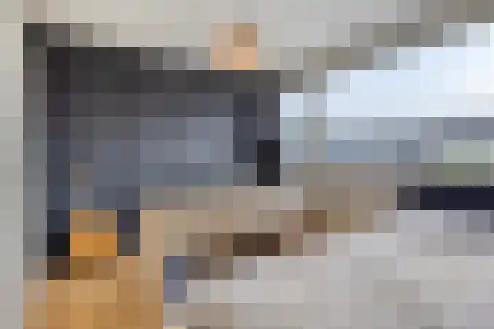 Gareel 2 Barger-Compascuum thumbnail 23