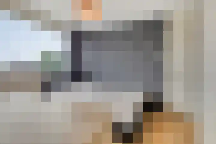 Gareel 2 Barger-Compascuum thumbnail 24