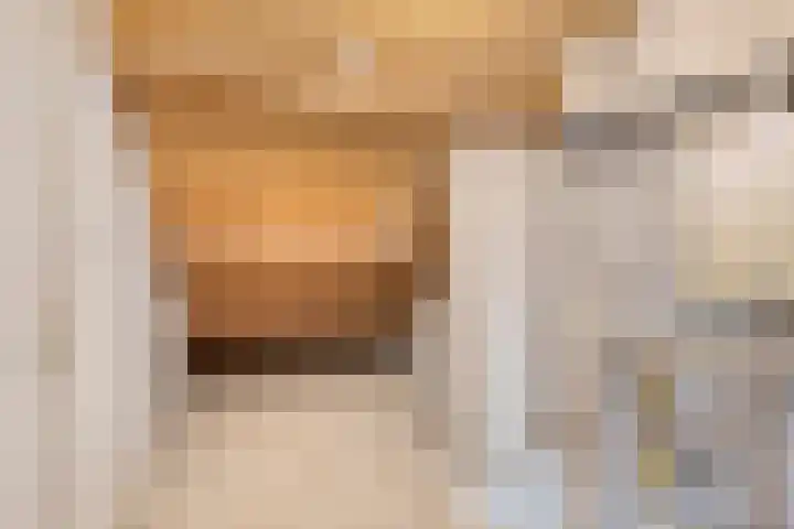 Gareel 2 Barger-Compascuum thumbnail 26