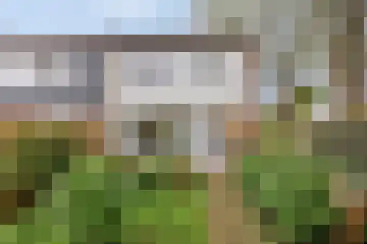 Gareel 2 Barger-Compascuum thumbnail 34