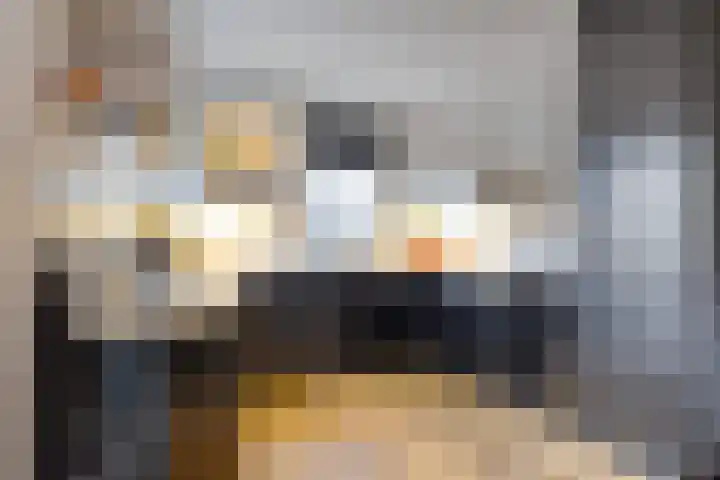 Gareel 27 Veldhoven thumbnail 19
