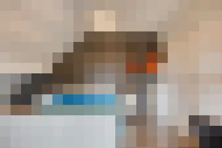 Gareel 27 Veldhoven thumbnail 31