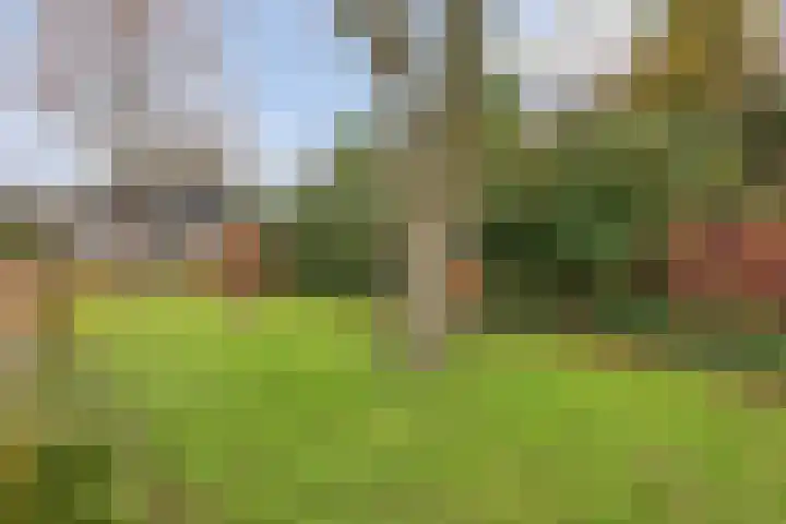 Gareel 27 Veldhoven thumbnail 52