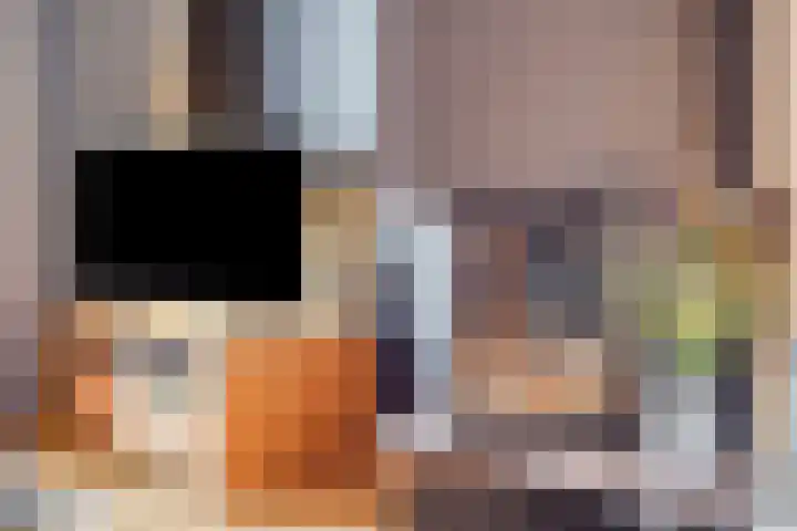 Gareel 27 Veldhoven thumbnail 7