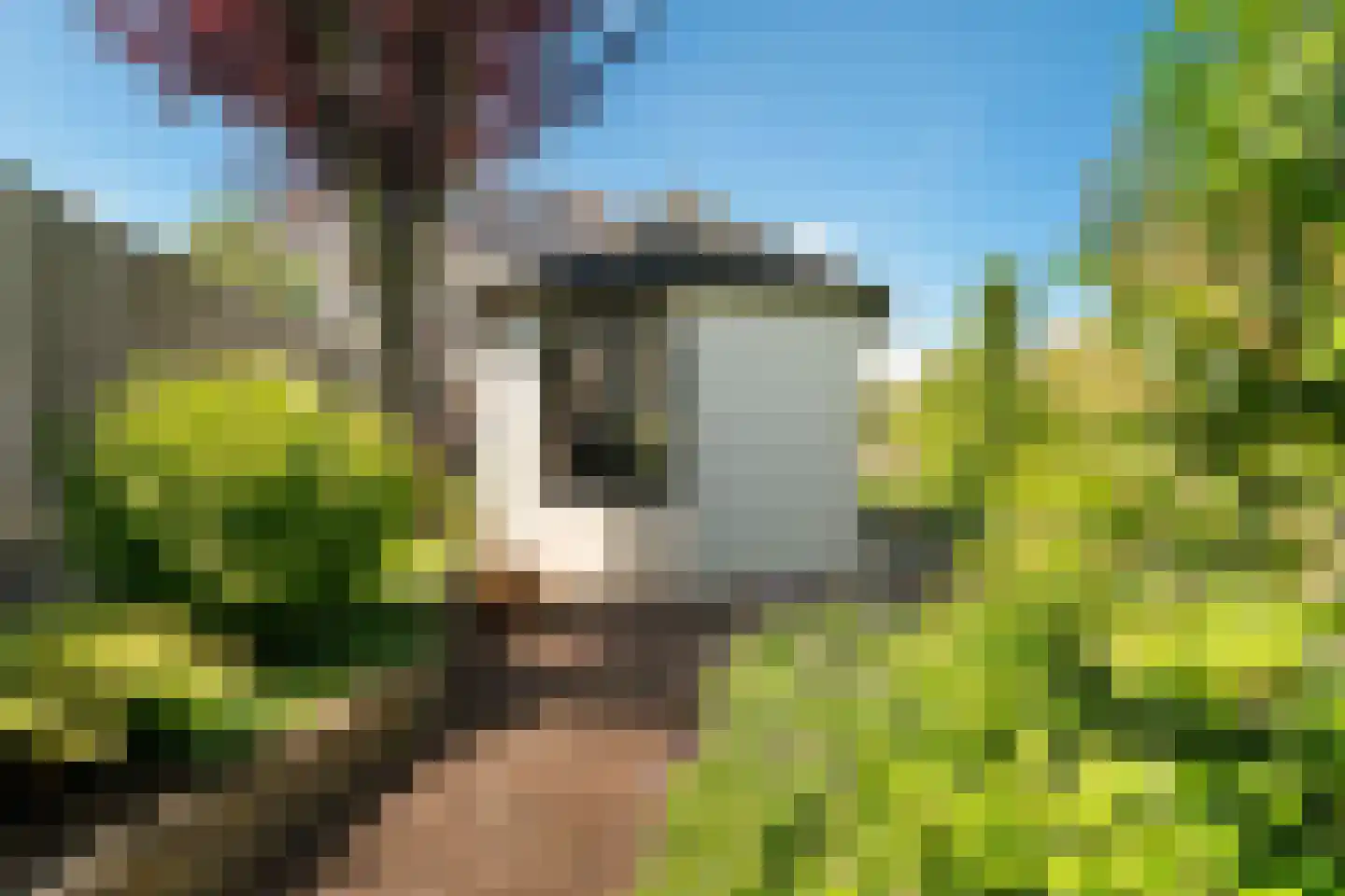 Gareel 36 Hasselt thumbnail 25