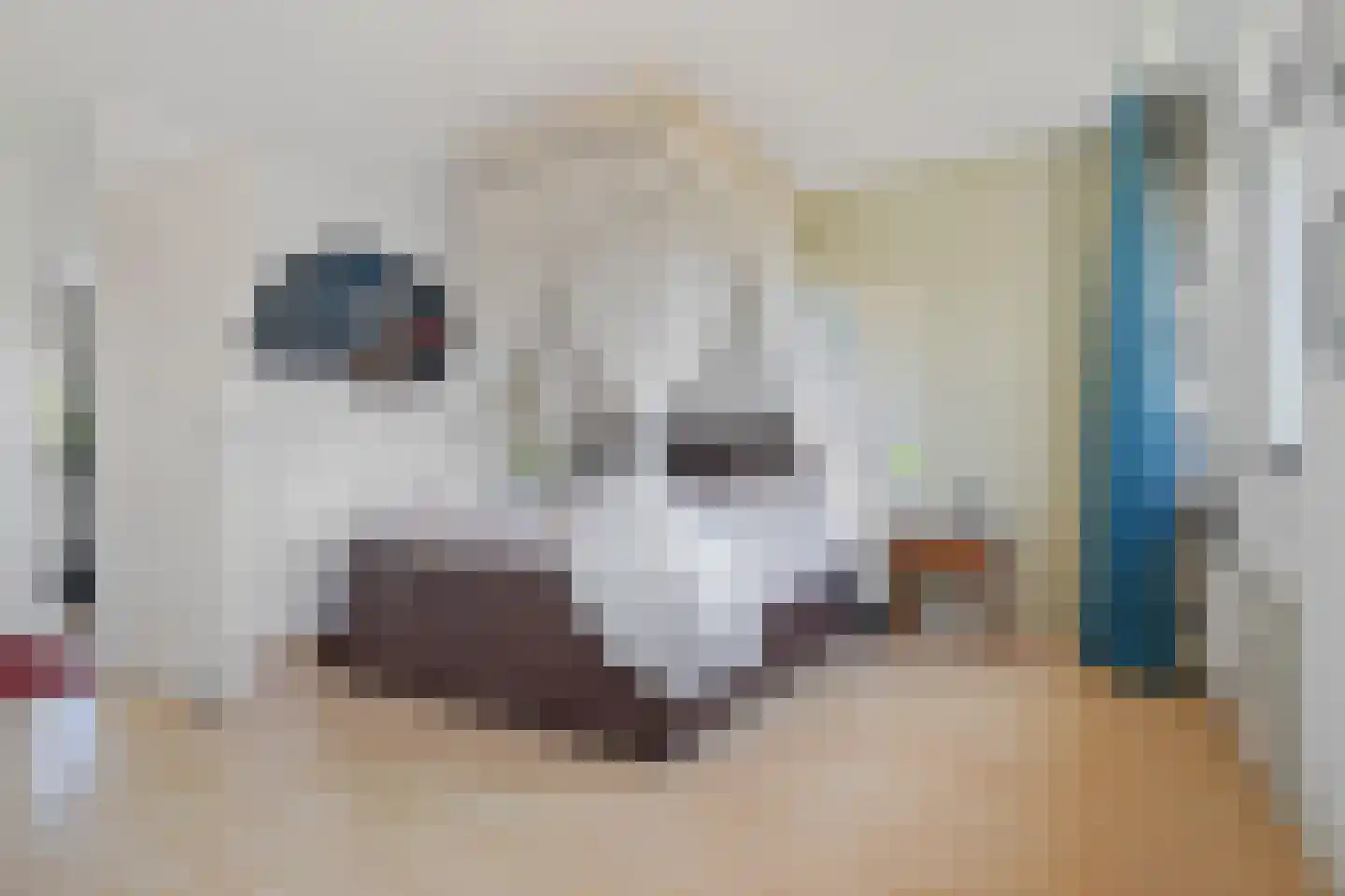 Gareel 36 Hasselt thumbnail 33