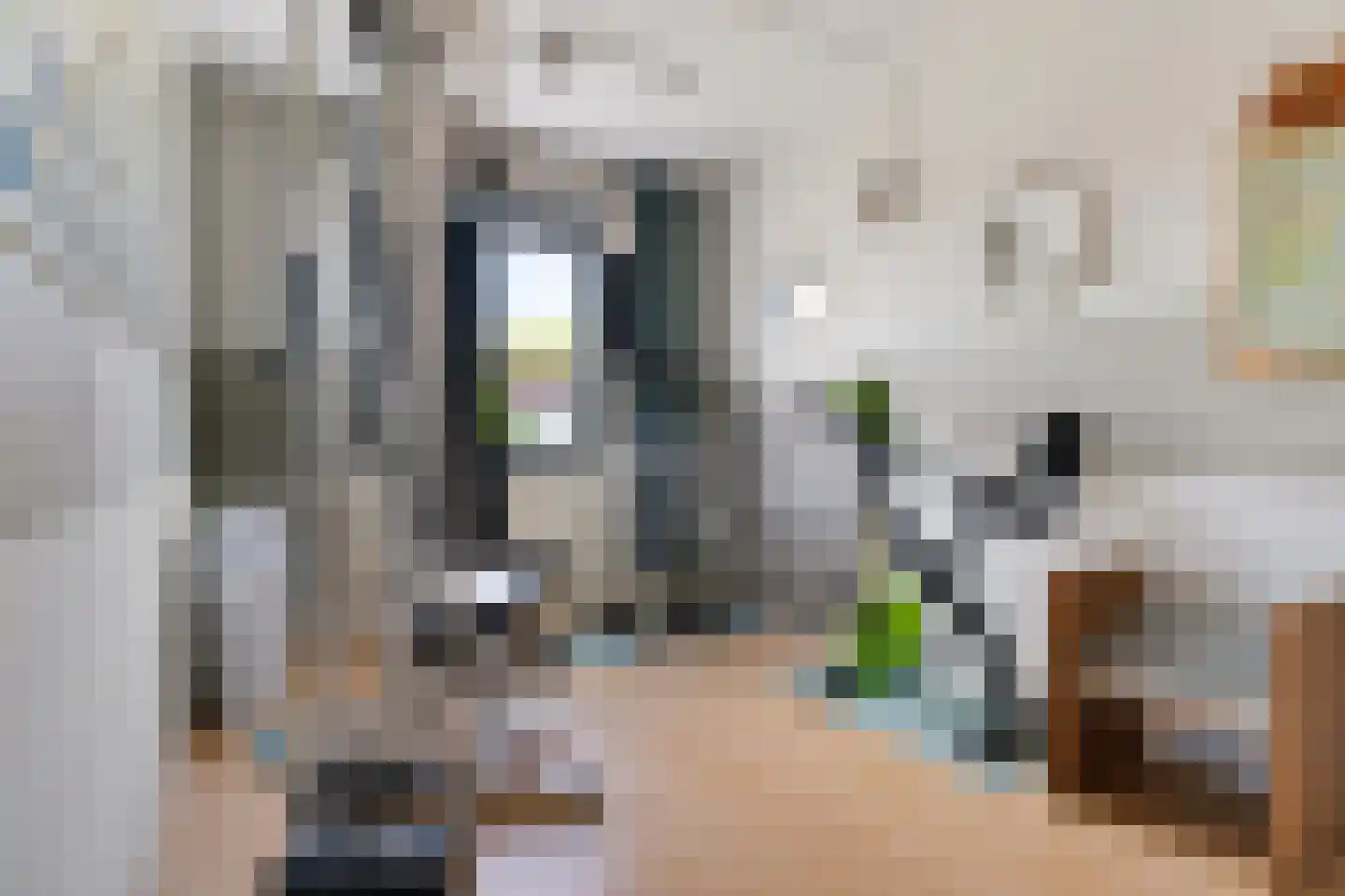Gareel 36 Hasselt thumbnail 36