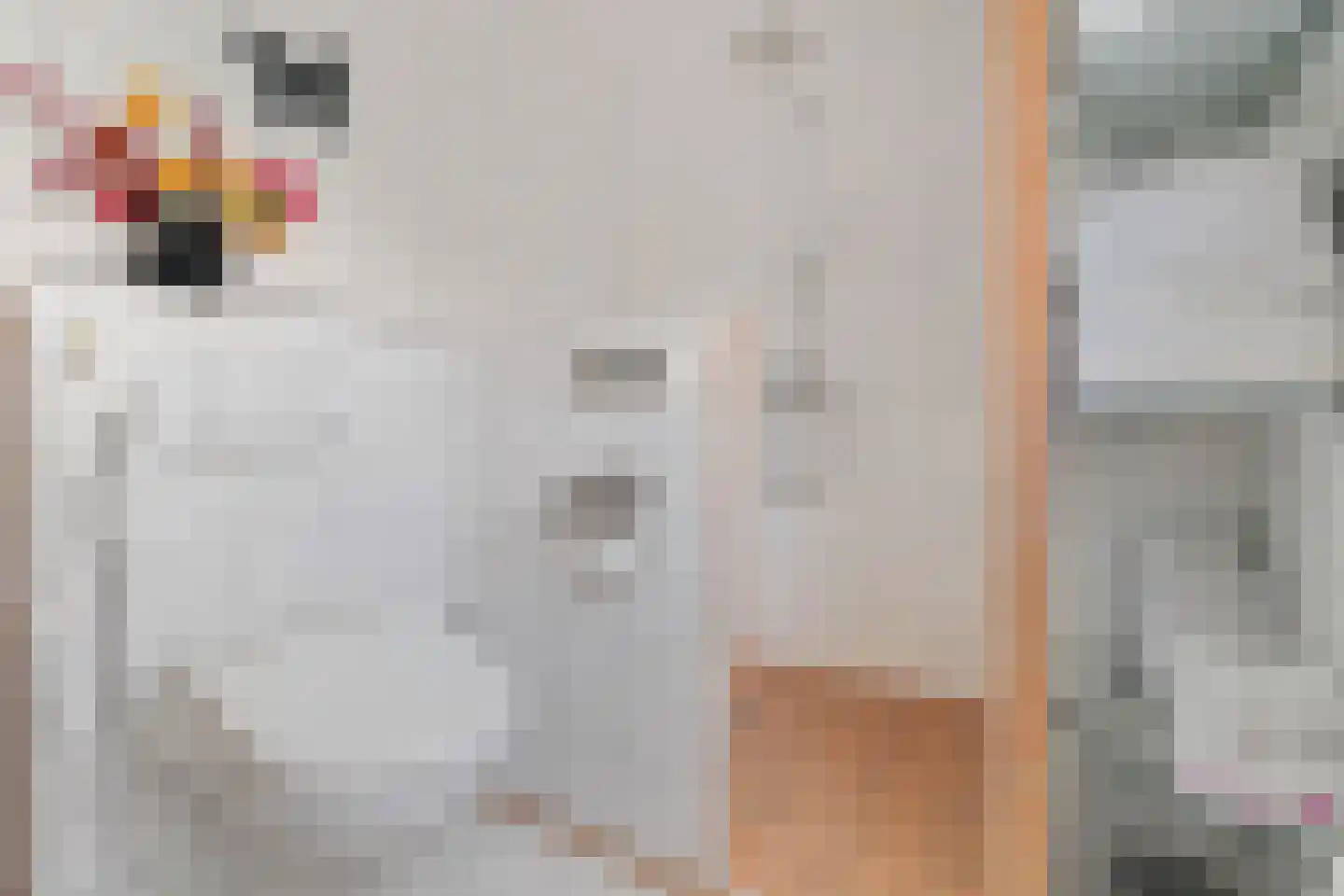 Gareel 36 Hasselt thumbnail 39
