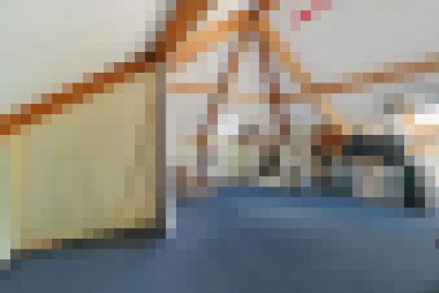 Gareel 36 Hasselt thumbnail 43