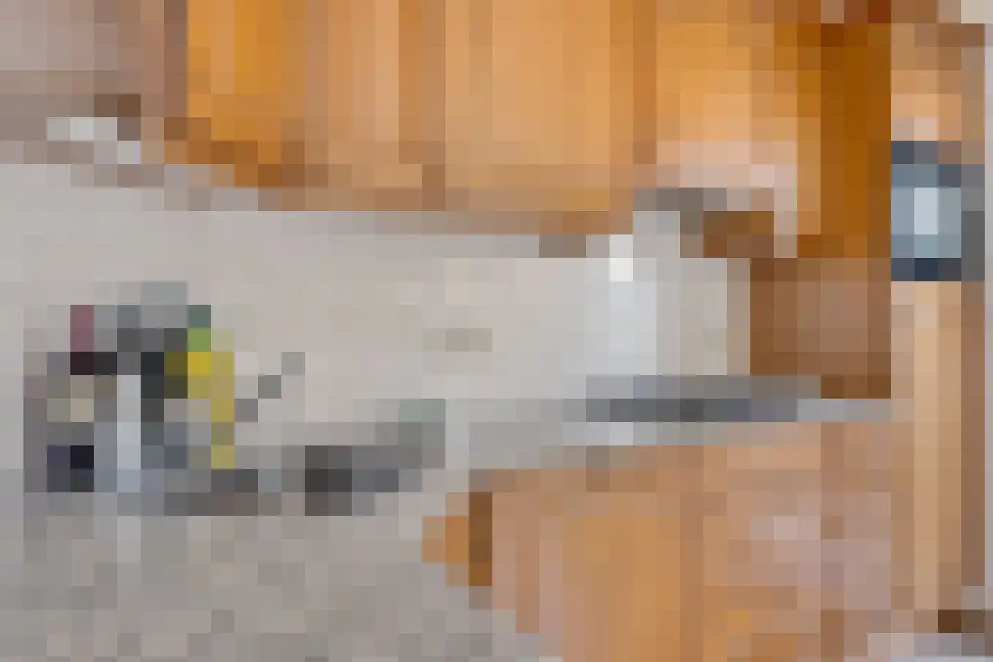 Gareel 49 Barger-Compascuum thumbnail 13