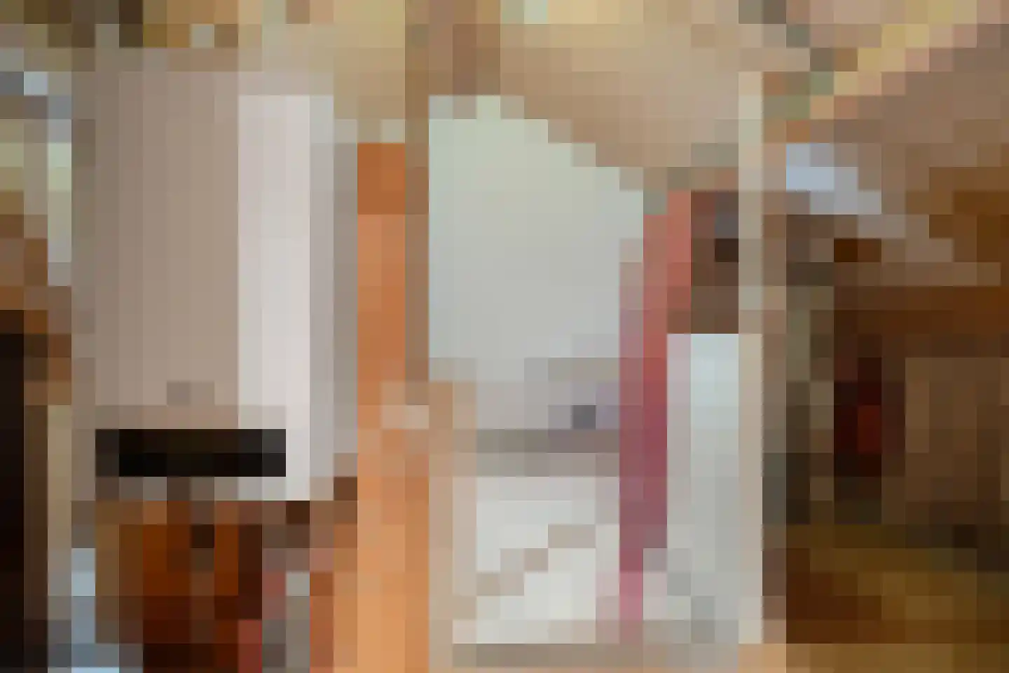 Gareel 49 Barger-Compascuum thumbnail 30