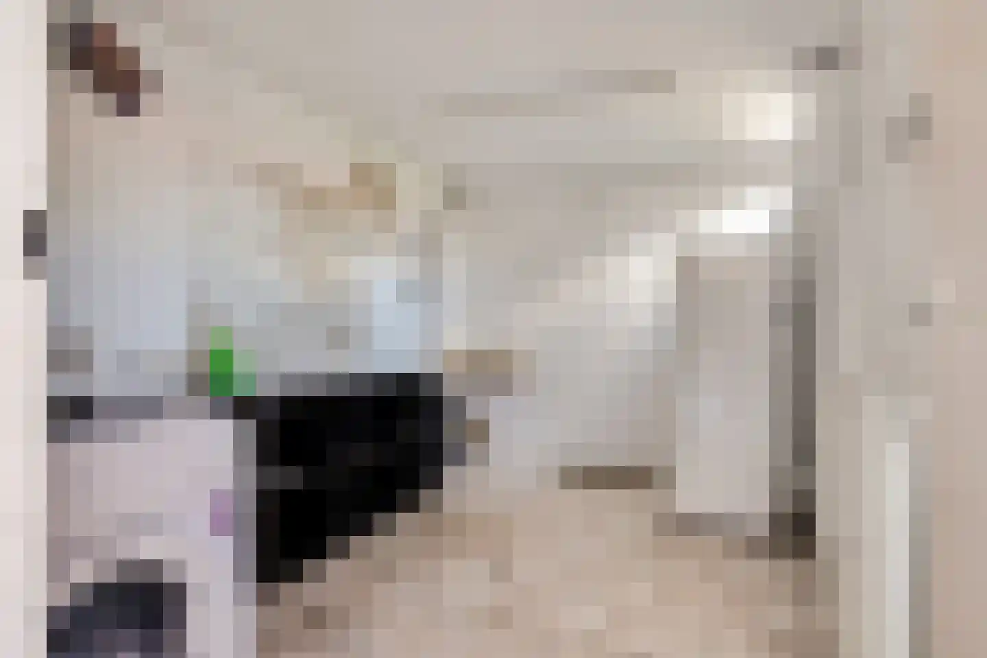 Gareel 49 Barger-Compascuum thumbnail 33