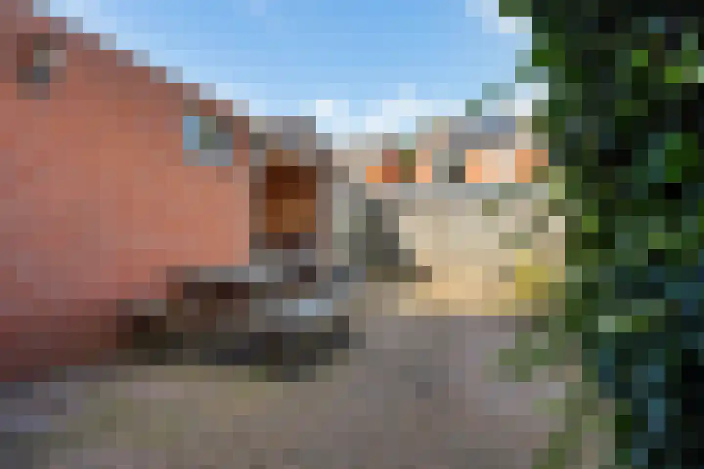 Gareel 49 Barger-Compascuum thumbnail 35