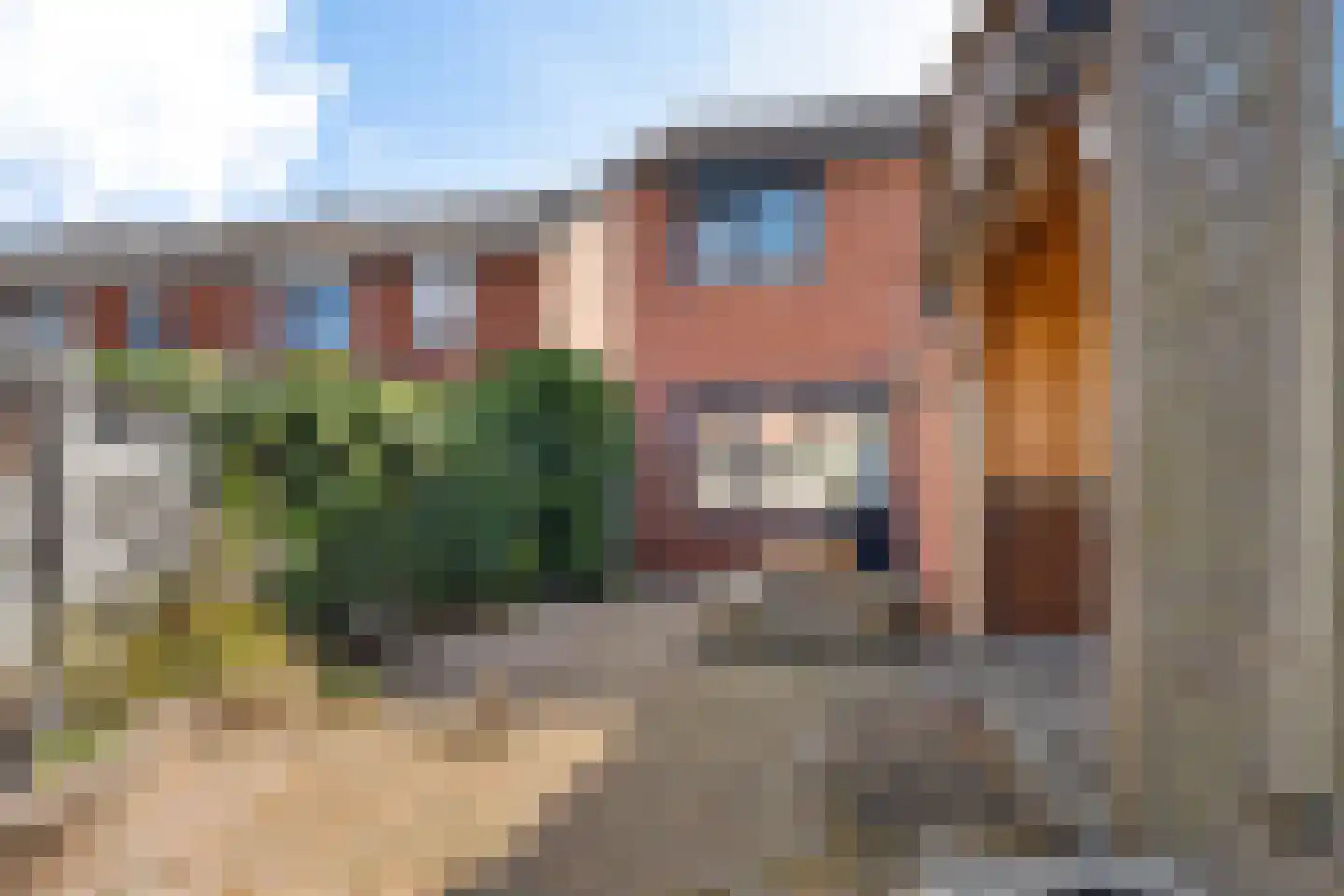 Gareel 49 Barger-Compascuum thumbnail 37