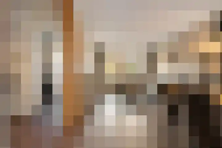 Gareel 6 Barger-Compascuum thumbnail 11