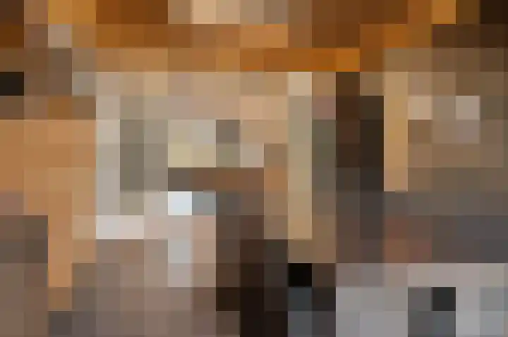 Gareel 6 Barger-Compascuum thumbnail 13