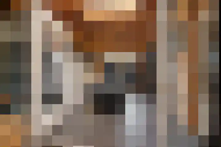 Gareel 6 Barger-Compascuum thumbnail 14