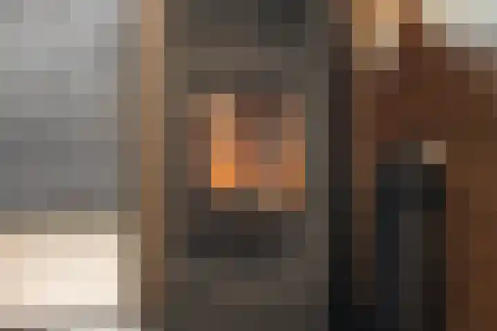 Gareel 6 Barger-Compascuum thumbnail 15