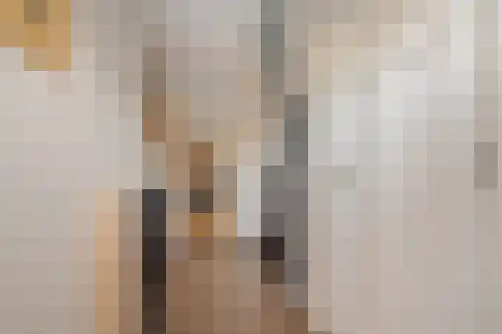 Gareel 6 Barger-Compascuum thumbnail 17