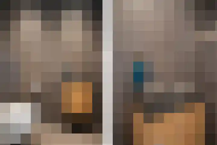Gareel 6 Barger-Compascuum thumbnail 18