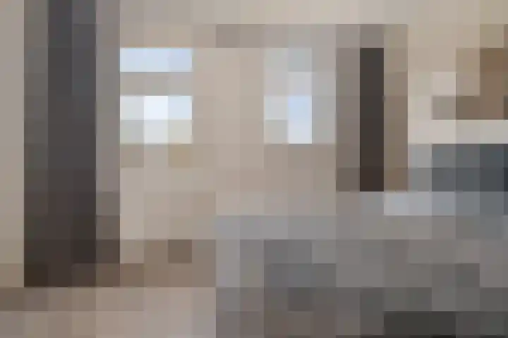 Gareel 6 Barger-Compascuum thumbnail 23