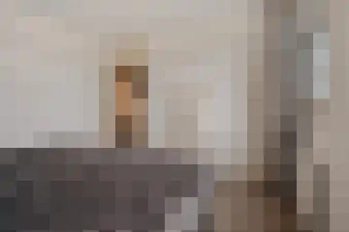 Gareel 6 Barger-Compascuum thumbnail 24