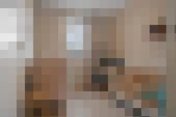 Gareel 6 Barger-Compascuum thumbnail 28