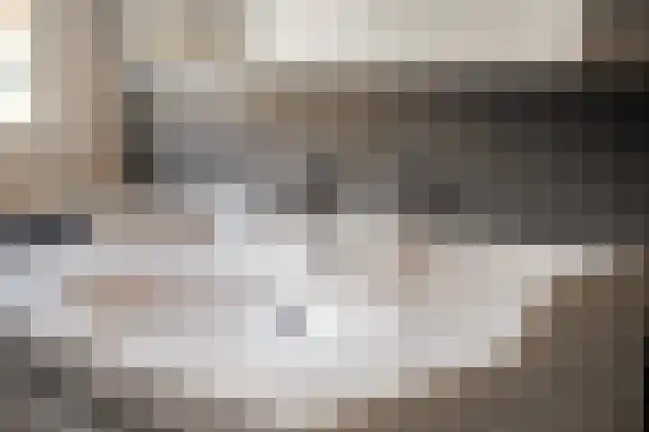 Gareel 6 Barger-Compascuum thumbnail 32