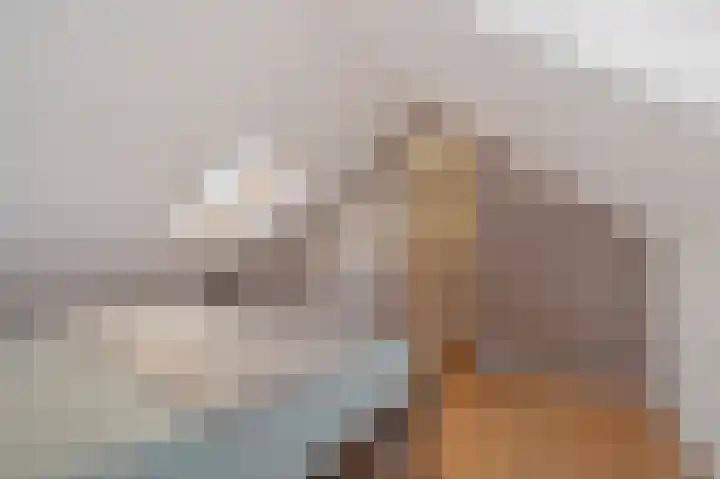 Gareel 6 Barger-Compascuum thumbnail 35