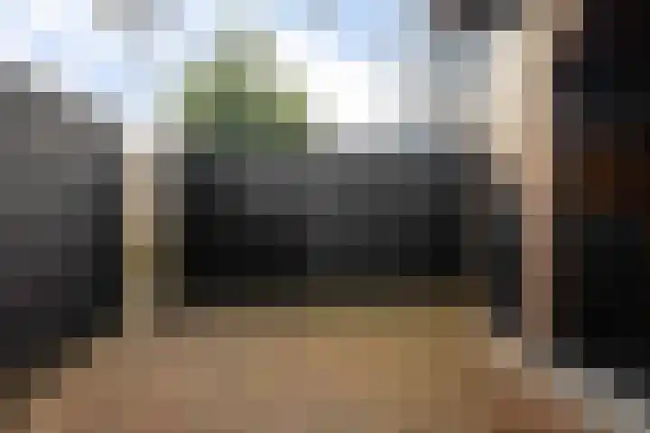Gareel 6 Barger-Compascuum thumbnail 38
