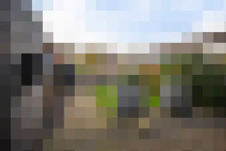 Gareel 6 Barger-Compascuum thumbnail 39