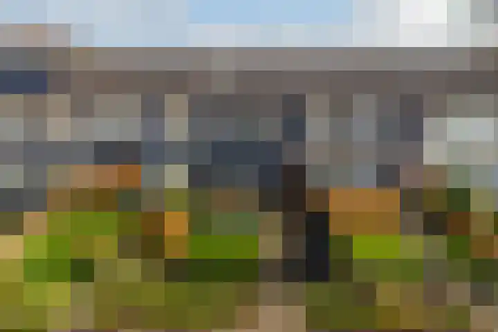 Gareel 6 Barger-Compascuum thumbnail 41
