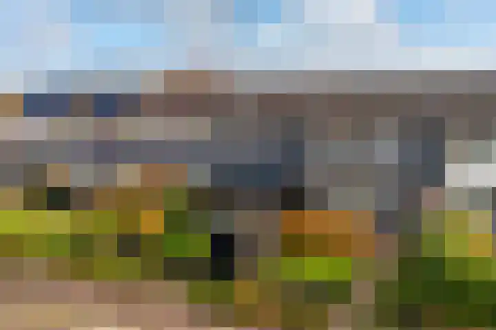 Gareel 6 Barger-Compascuum thumbnail 42