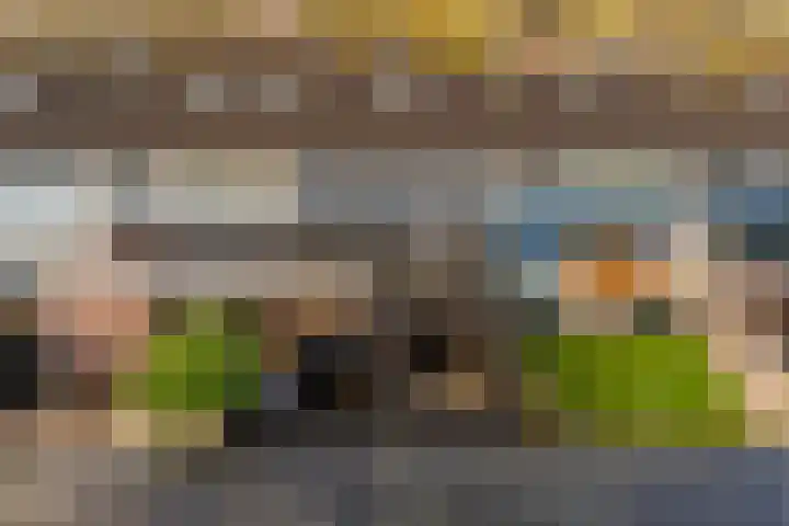 Gareel 6 Barger-Compascuum thumbnail 43