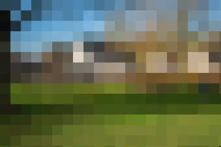 Gareel 6 Barger-Compascuum thumbnail 45