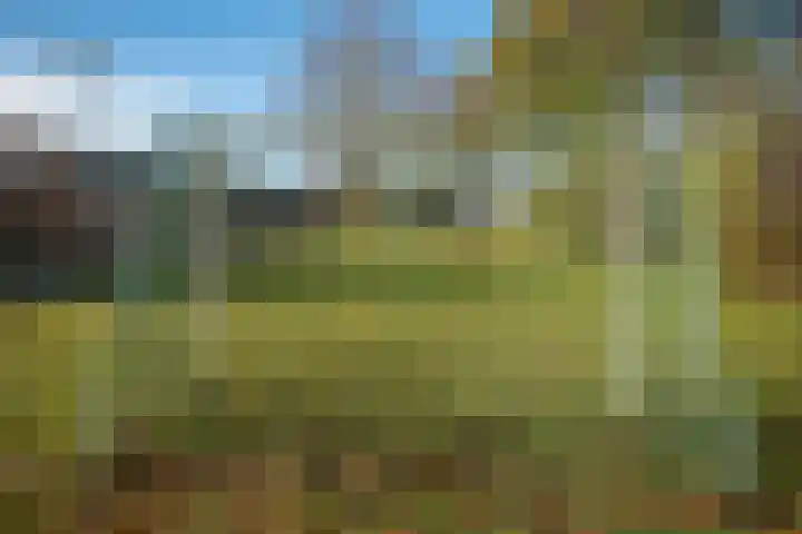 Gareel 6 Barger-Compascuum thumbnail 46