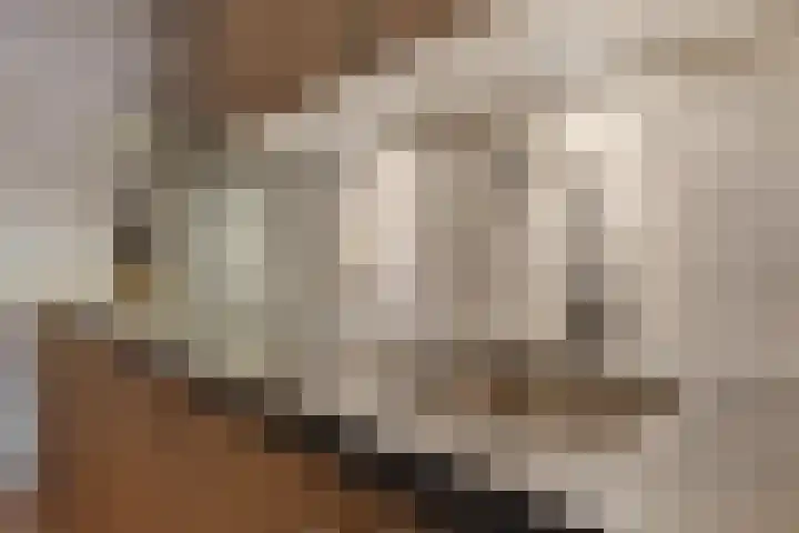 Gareel 6 Barger-Compascuum thumbnail 6