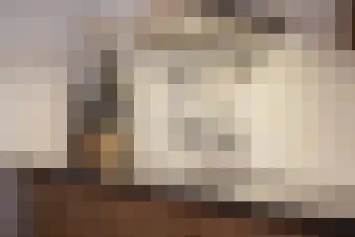 Gareel 6 Barger-Compascuum thumbnail 7