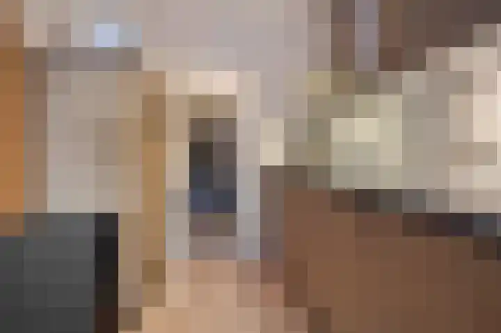Gareel 6 Barger-Compascuum thumbnail 8