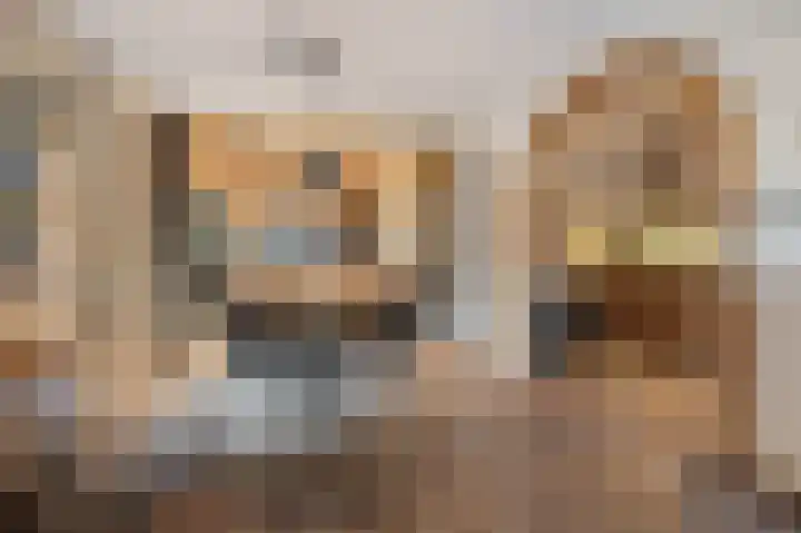 Gareel 6 Barger-Compascuum thumbnail 9