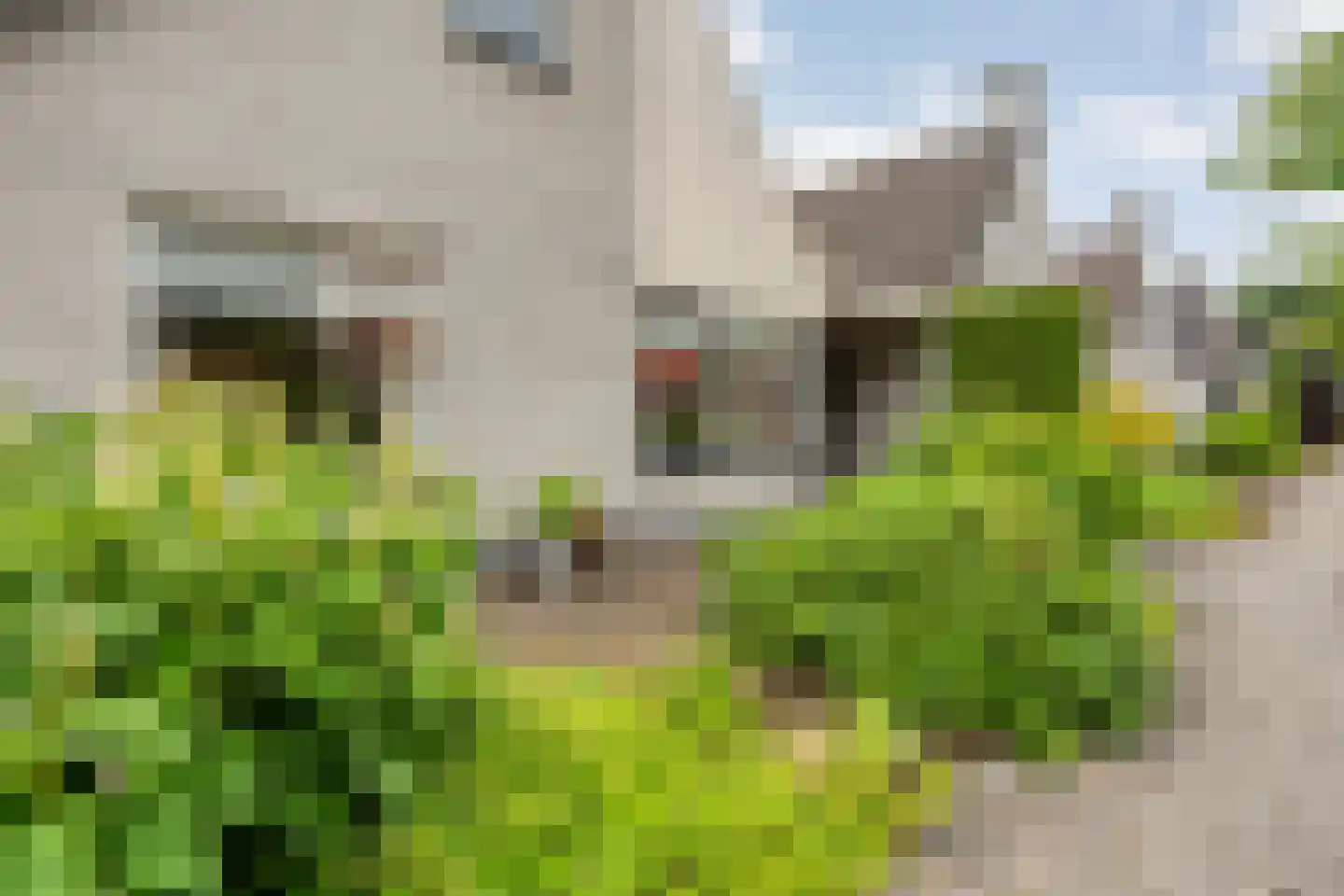 Gareelhoek 37 Enschede thumbnail 7