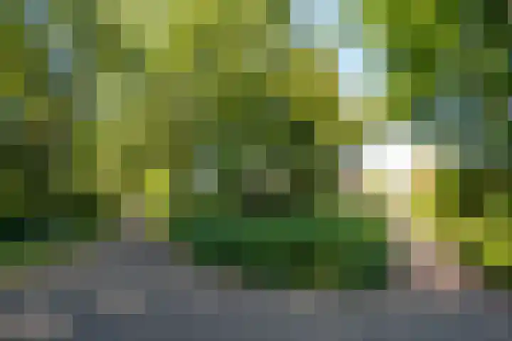 Gareelhoek 8 Enschede thumbnail 61