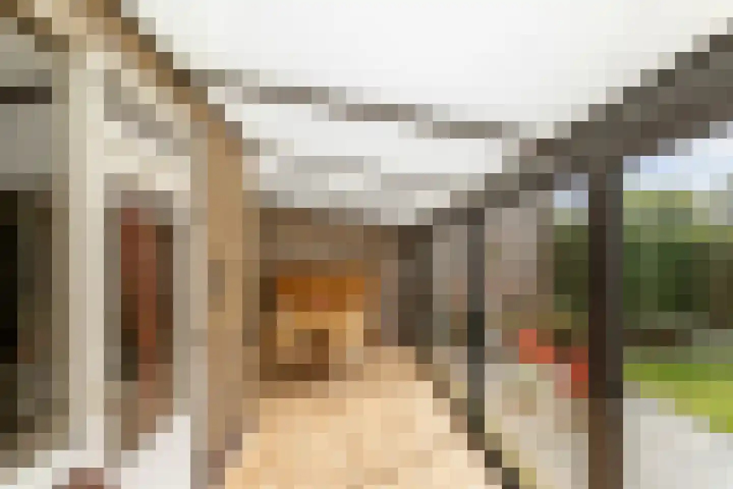 Gareelstraat 10 Ulvenhout thumbnail 22